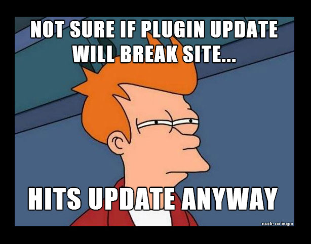 updating-wordpress-plugin-meme