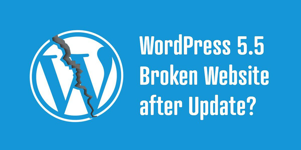 fix-for-wordpress-5.5-broken-website-after-update-javascript-errors-updated